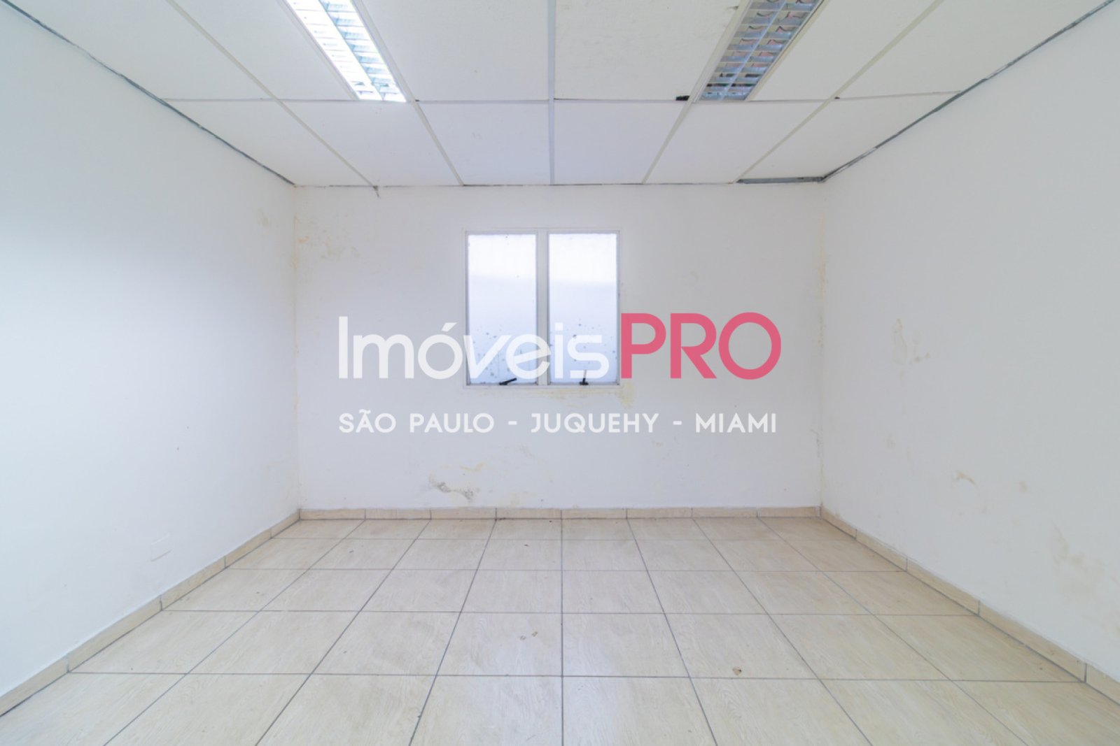 Foto :: IP39367