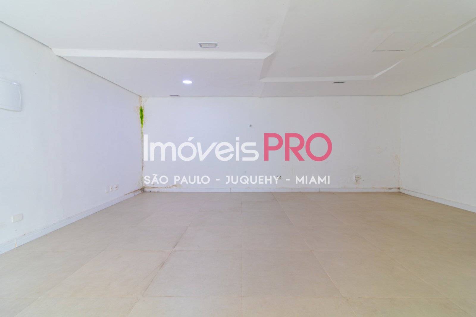 Foto :: IP39367