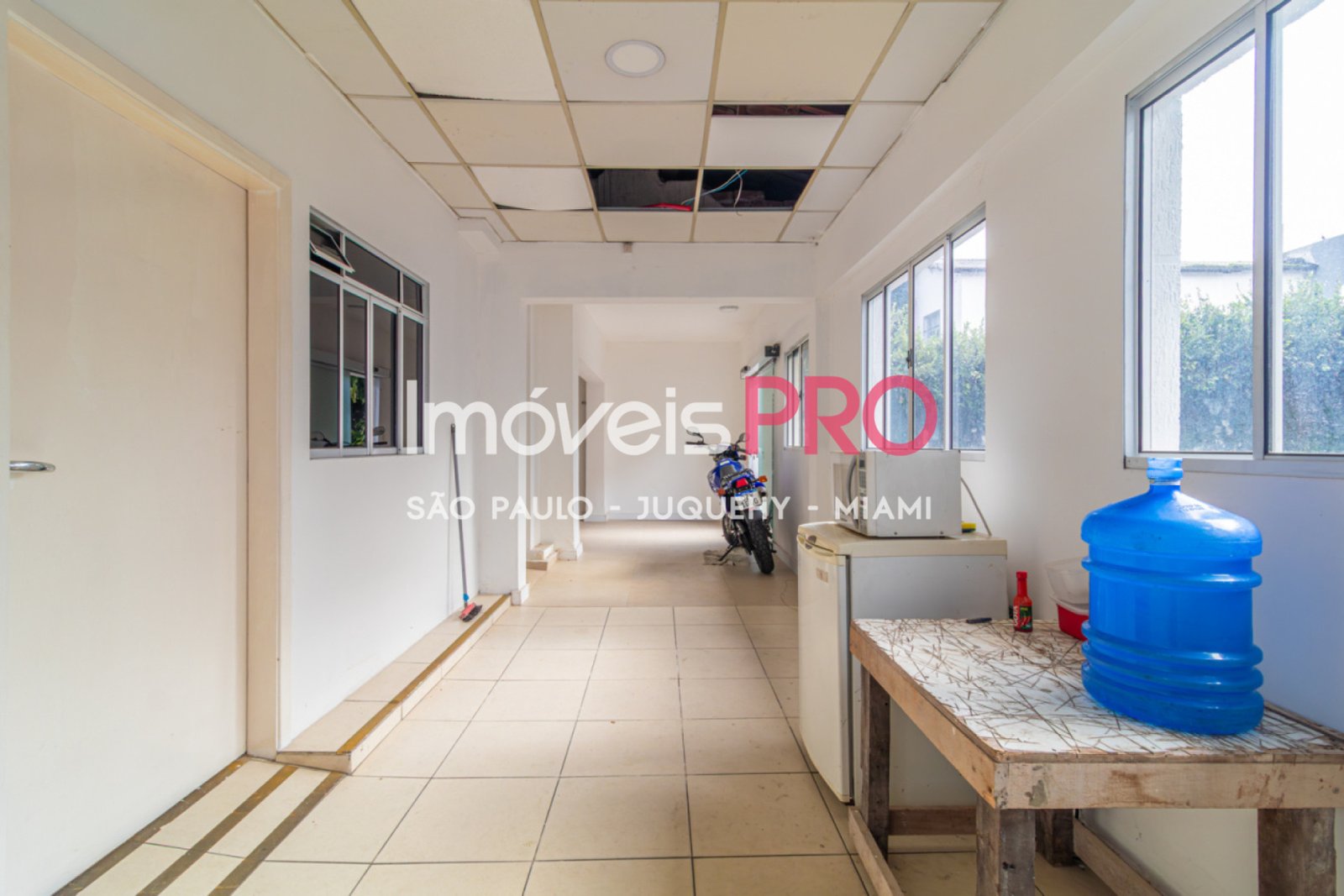 Foto :: IP39367