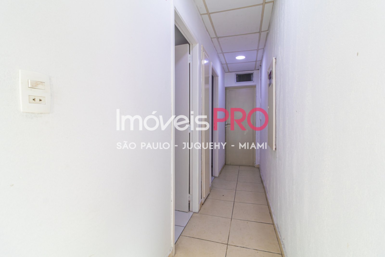 Foto :: IP39367