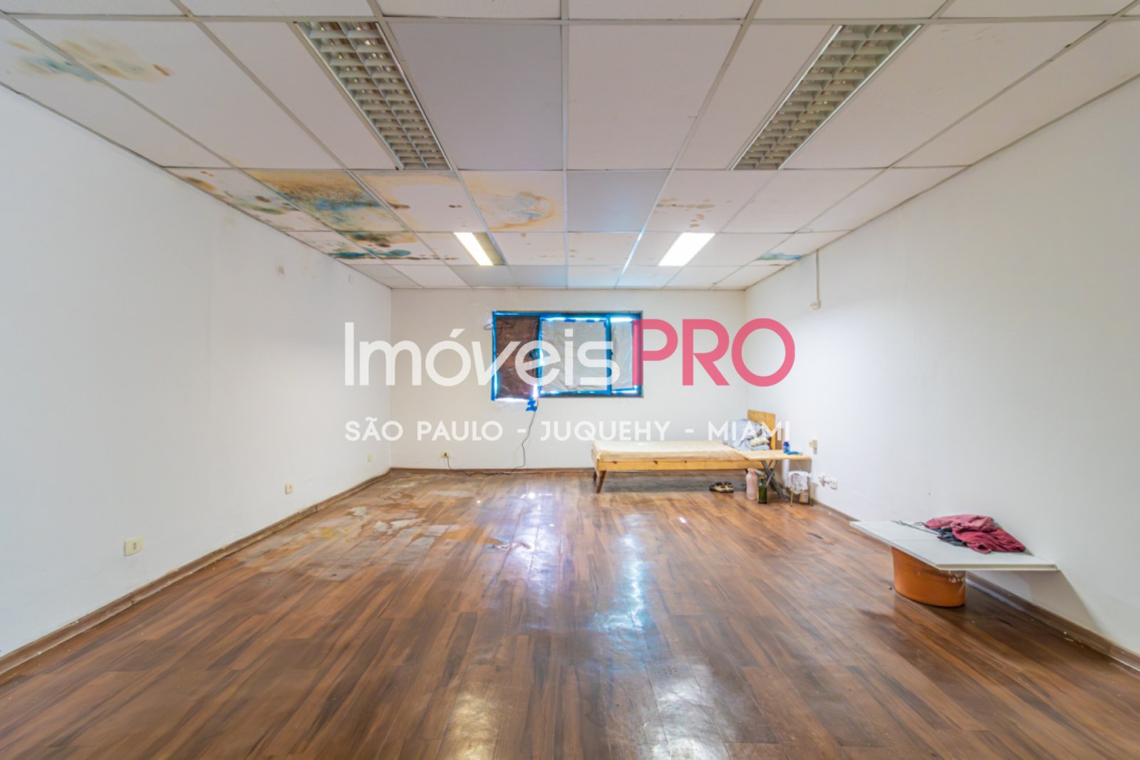 Foto :: IP39367
