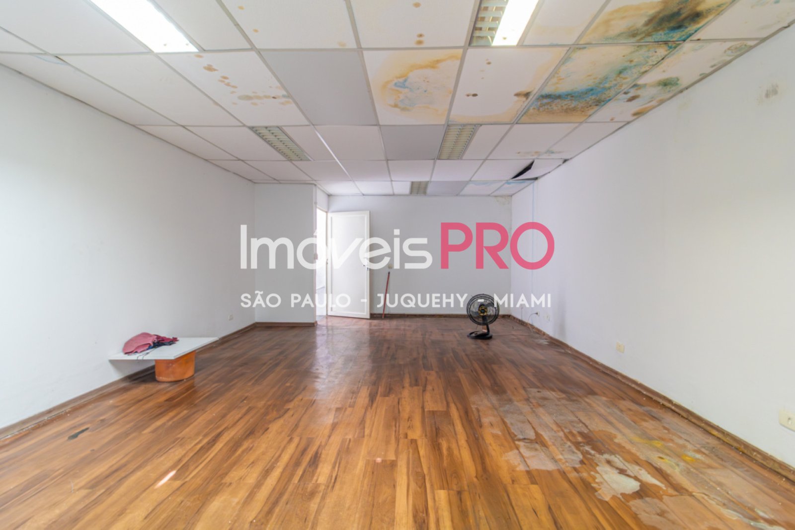 Foto :: IP39367