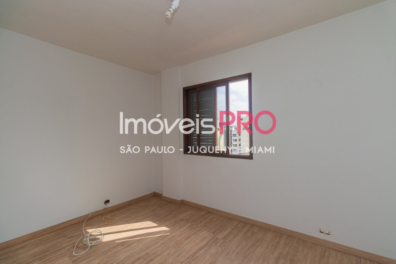 Foto :: IP39368