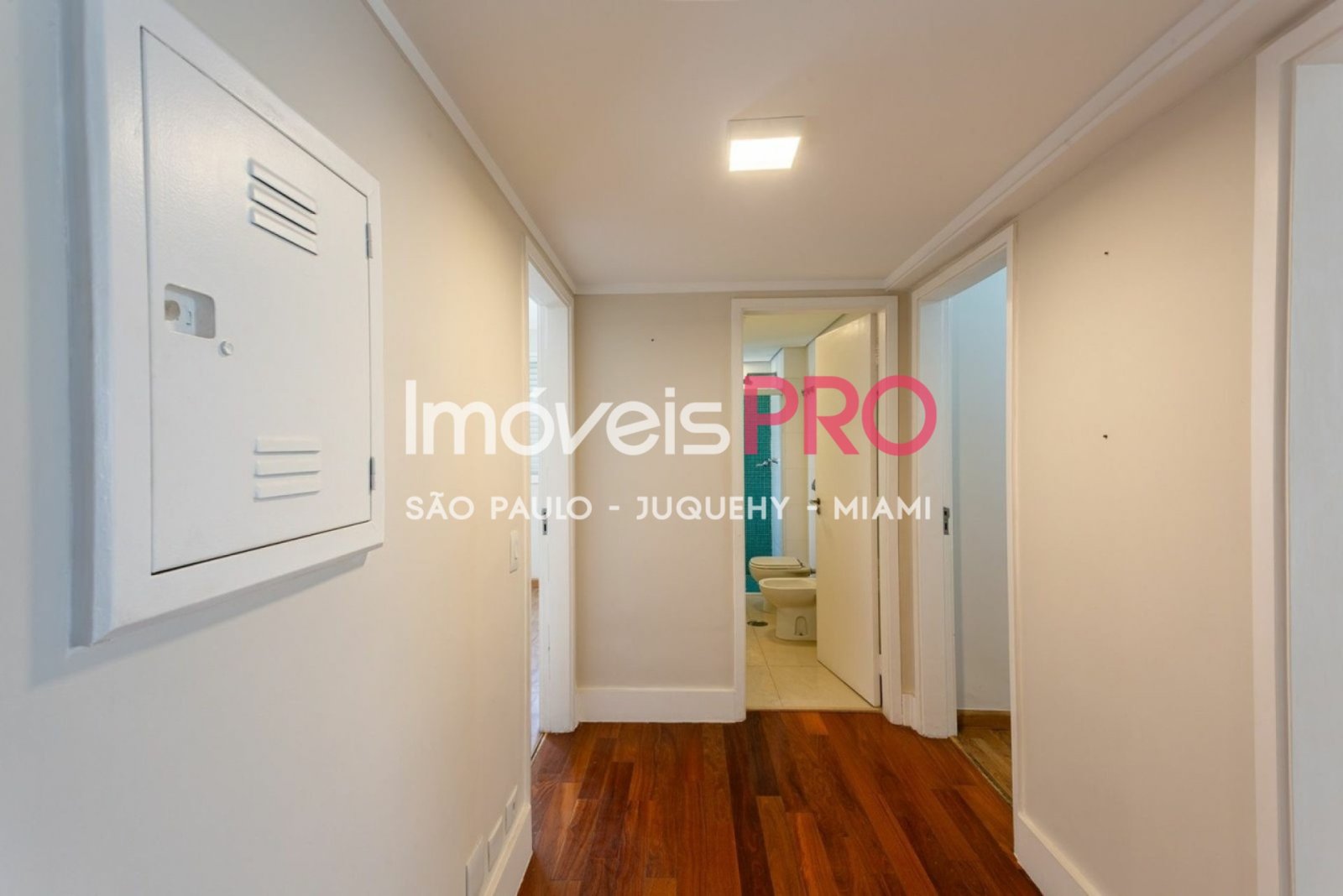 Foto :: IP39379