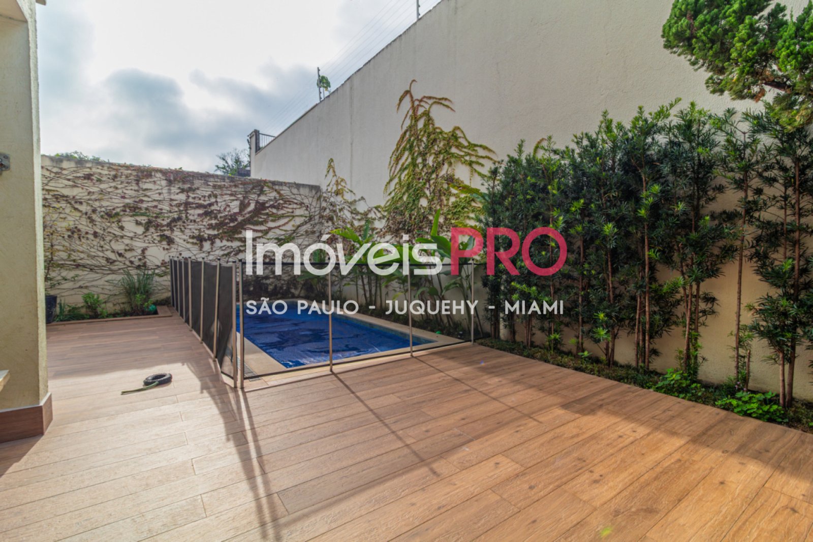 Foto :: IP39381