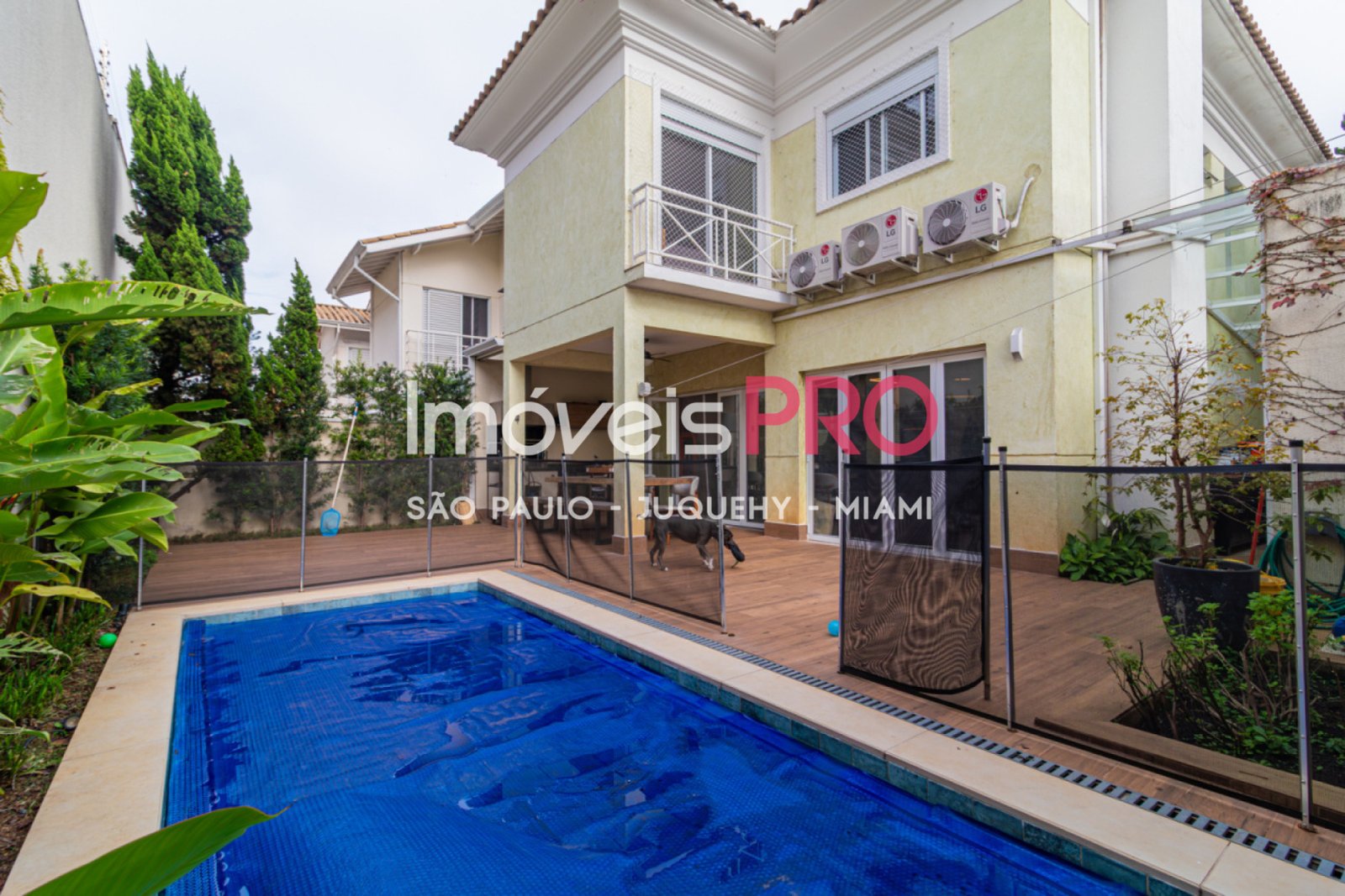 Foto :: IP39381