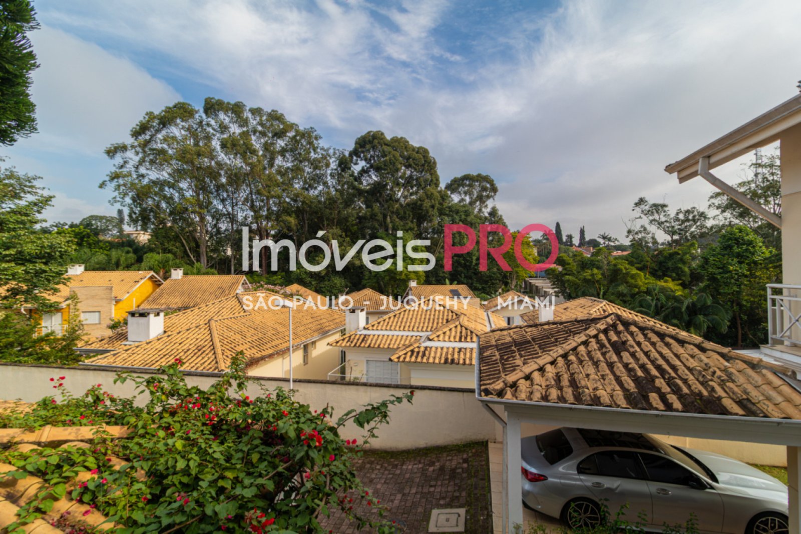Foto :: IP39381