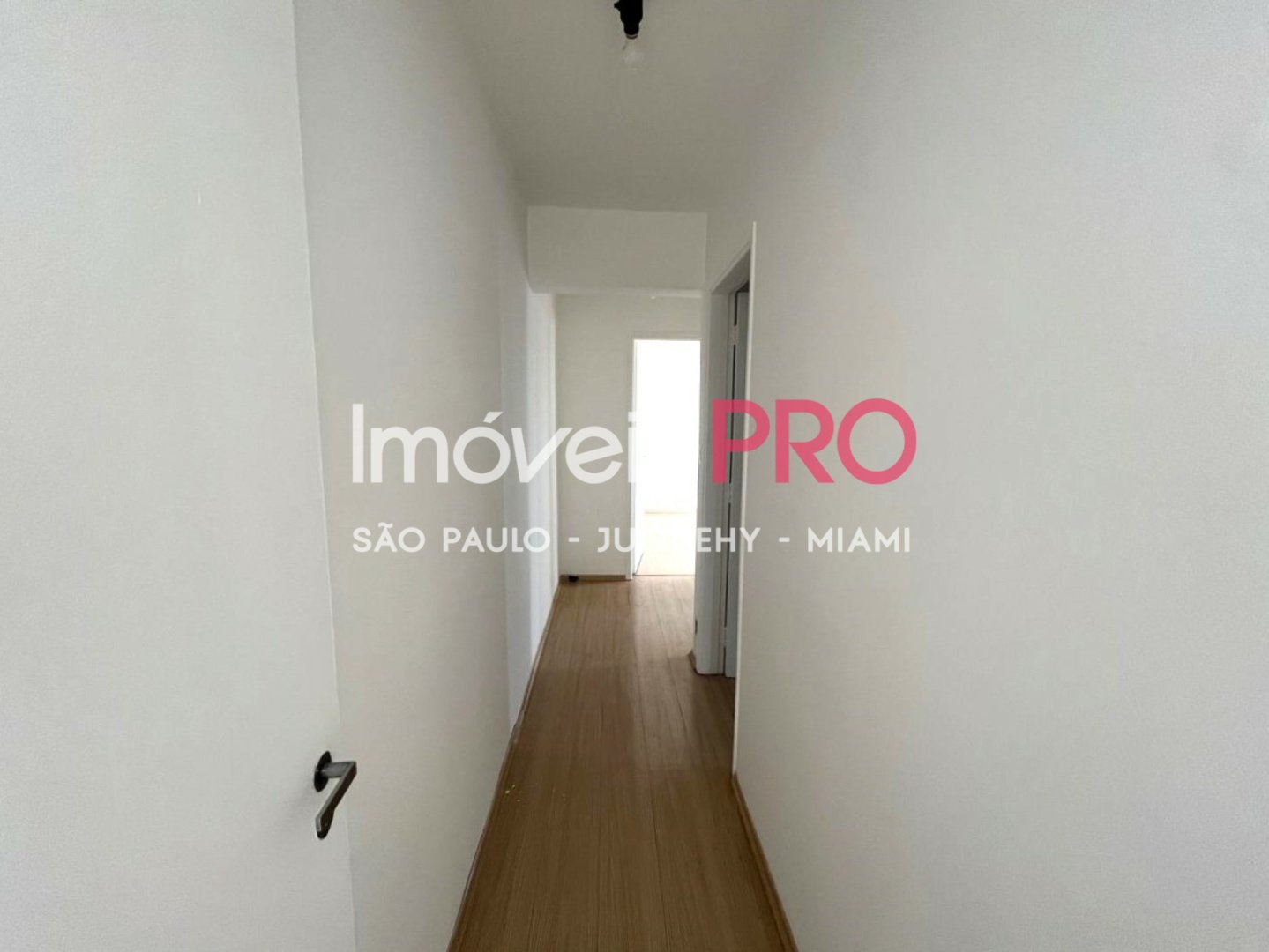 Foto :: IP39388