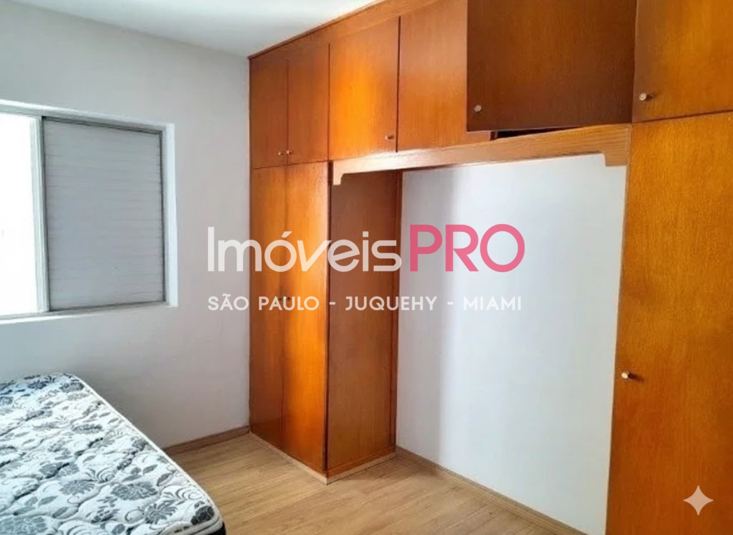 Foto :: IP39389
