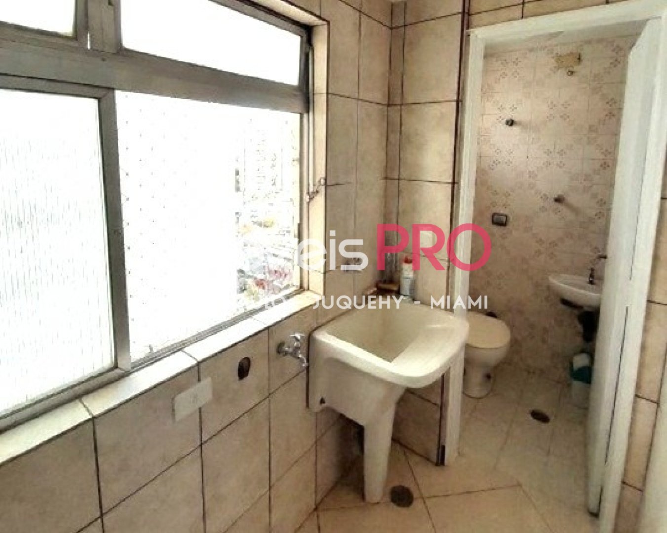 Foto :: IP39389