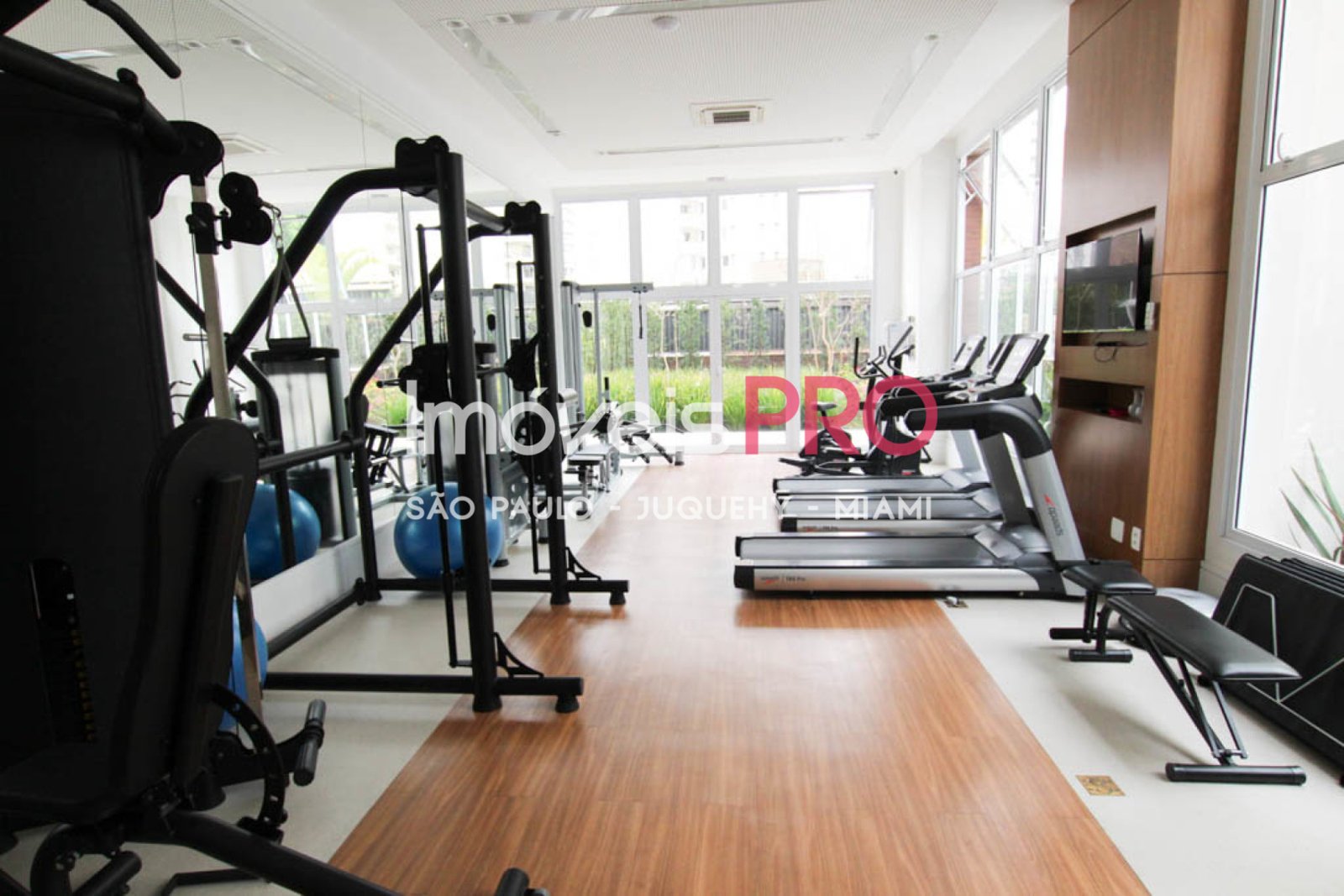 Foto :: IP39401