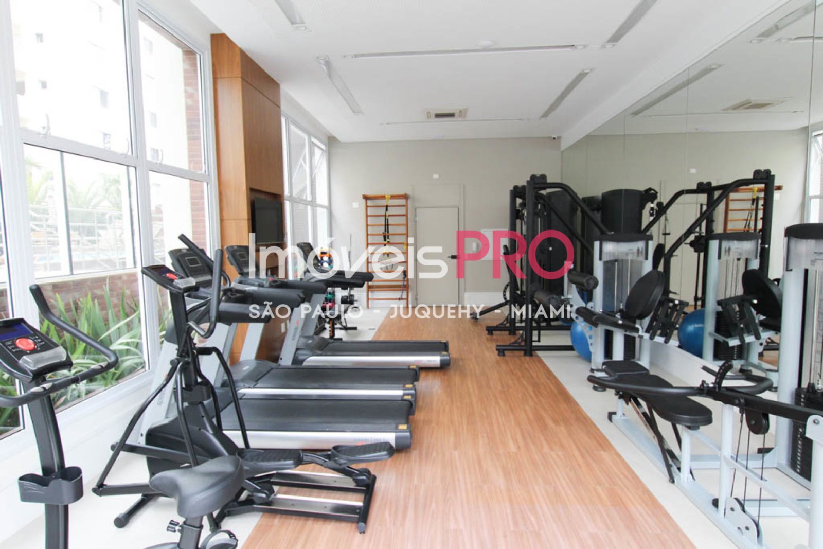 Foto :: IP39401