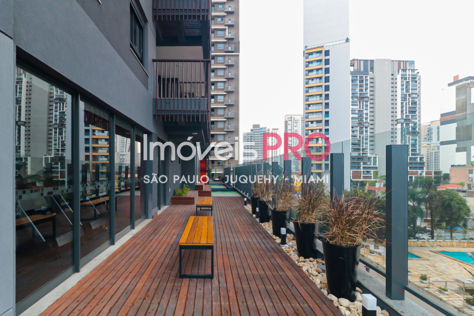 Foto :: IP39411