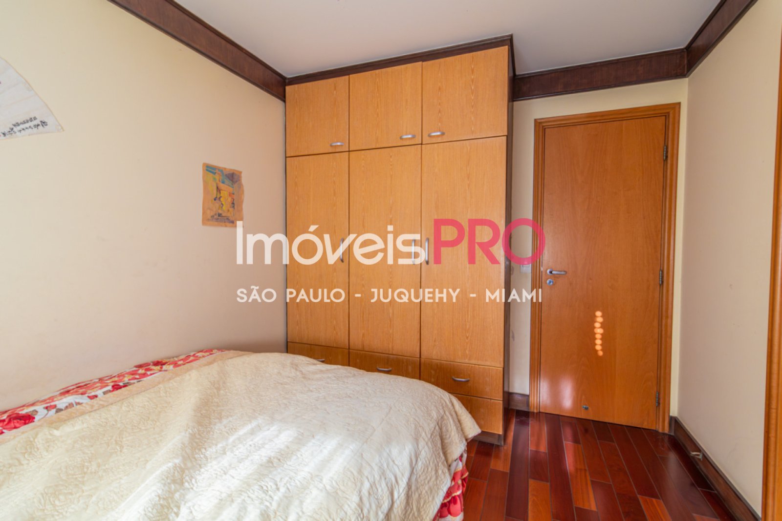 Foto :: IP39412