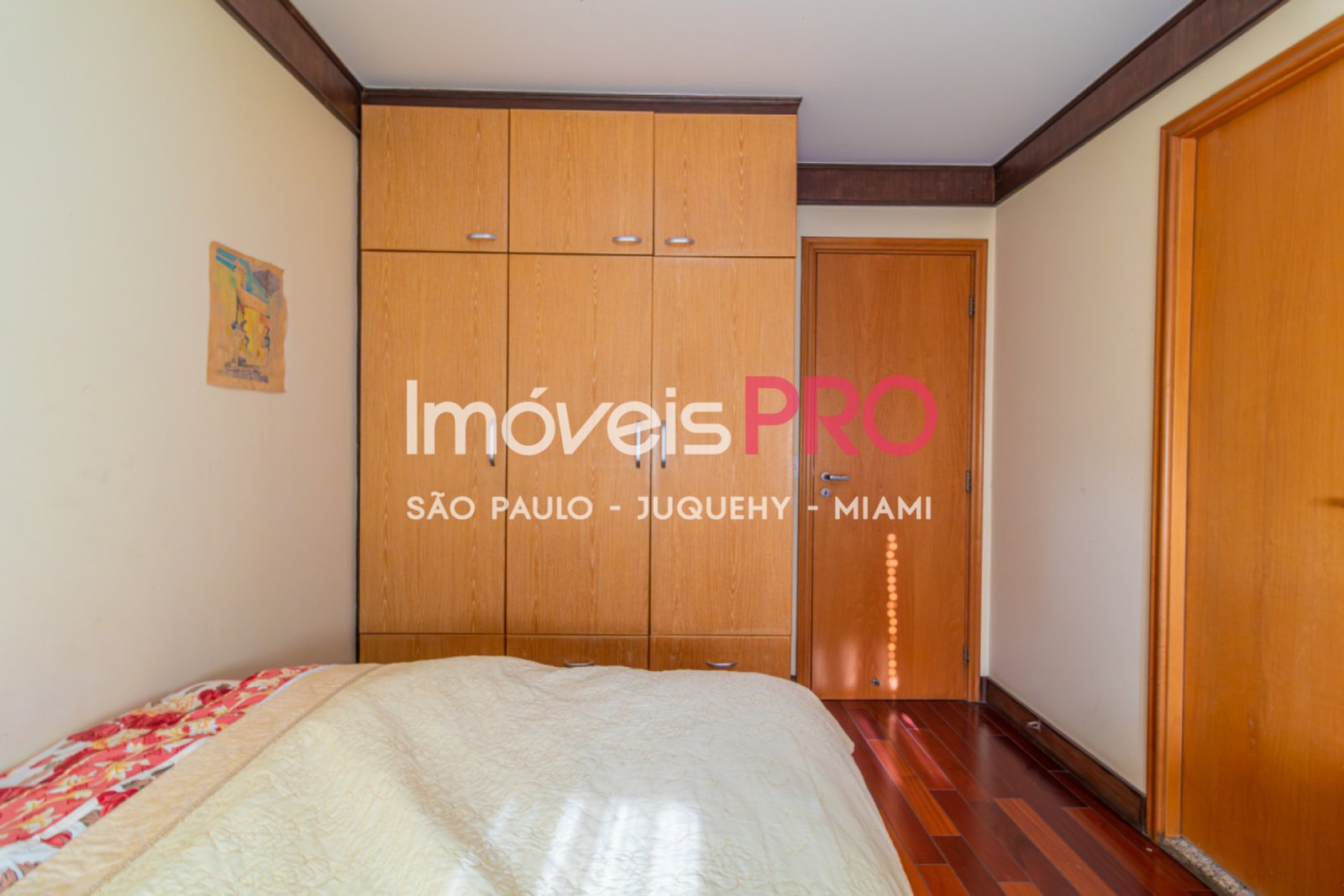 Foto :: IP39412