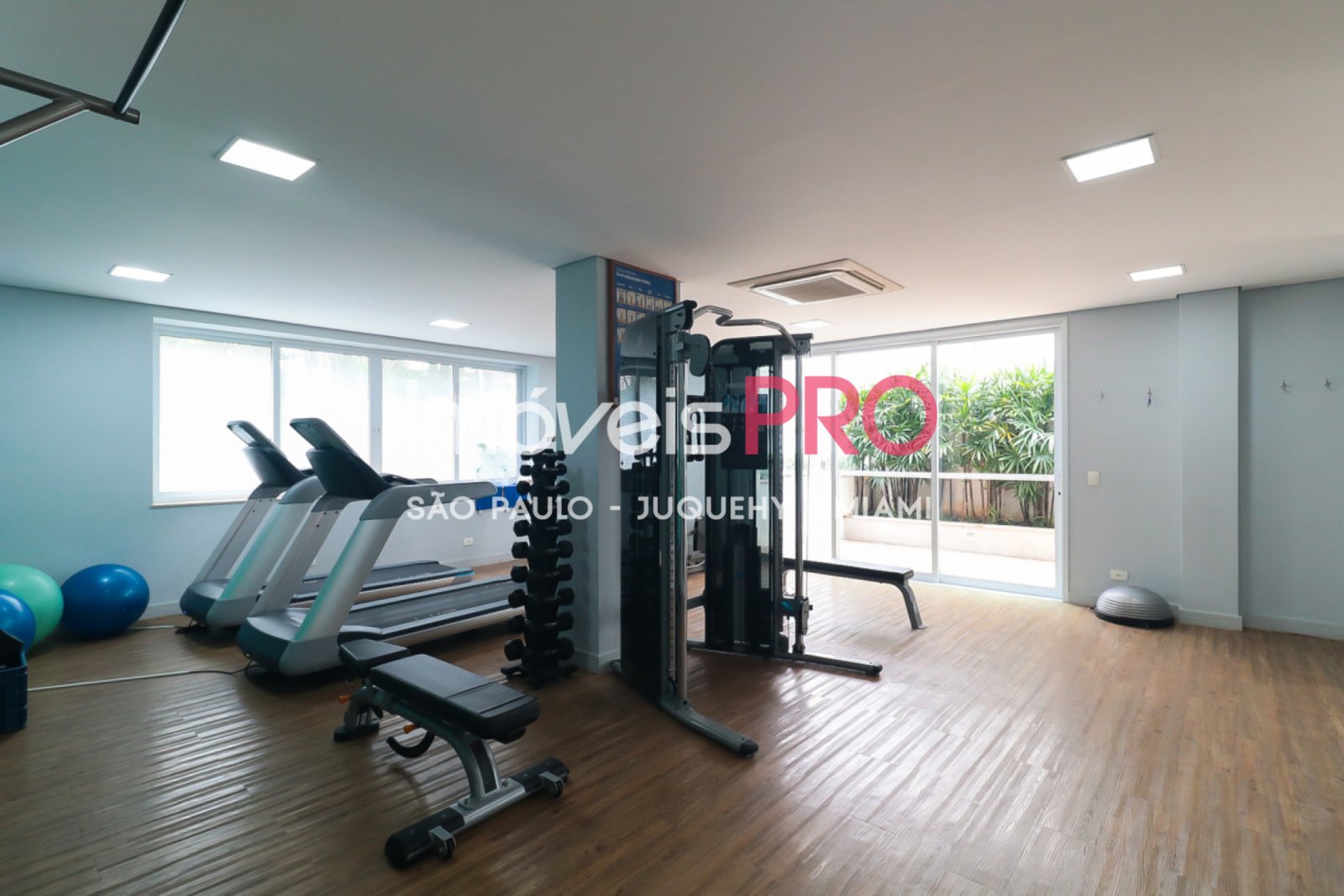 Foto :: IP39413