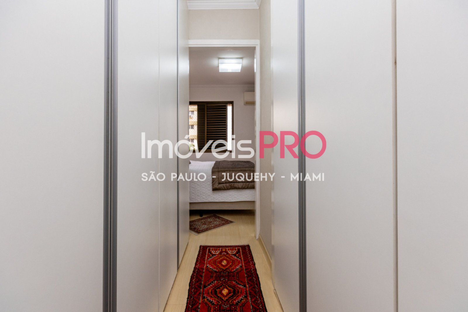 Foto :: IP39414