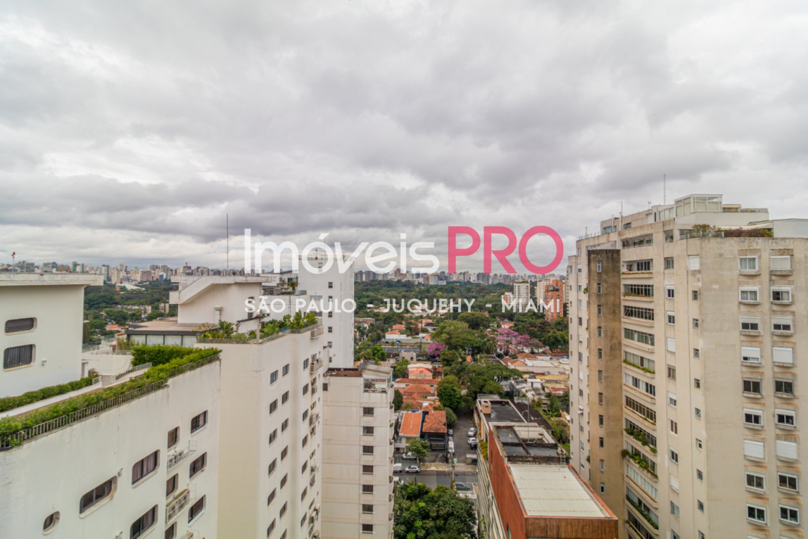 Foto :: IP39419