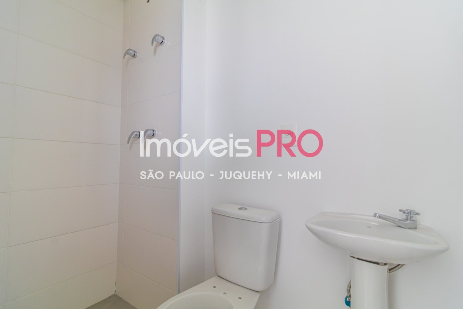 Foto :: IP39419