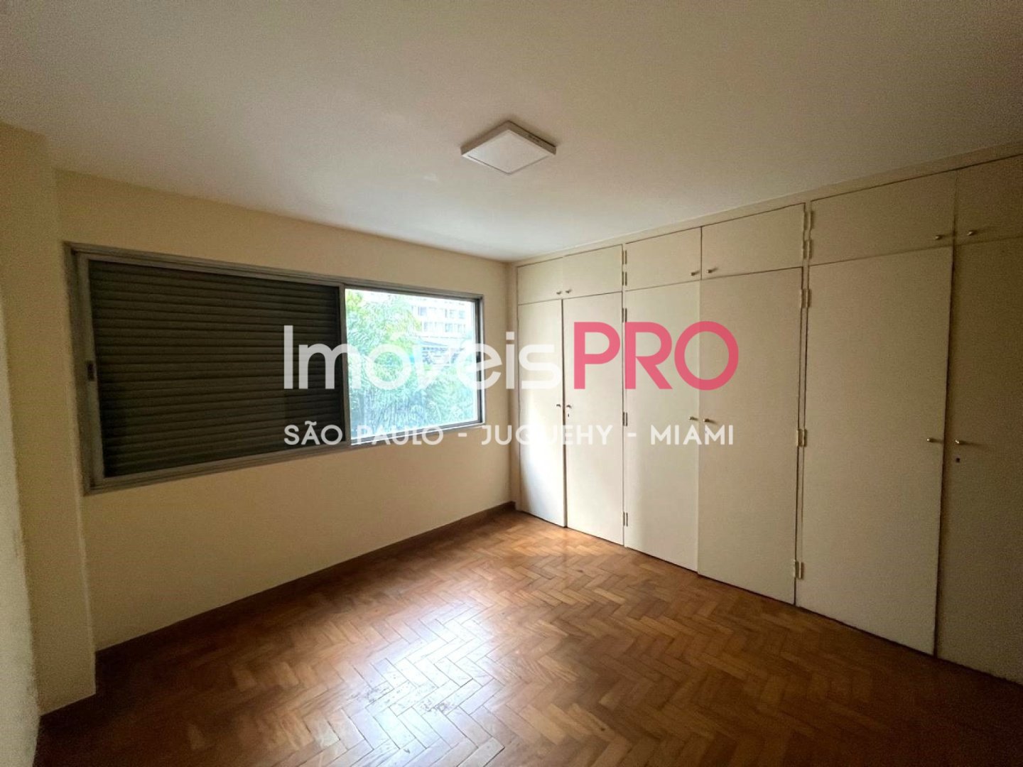 Foto :: IP39422
