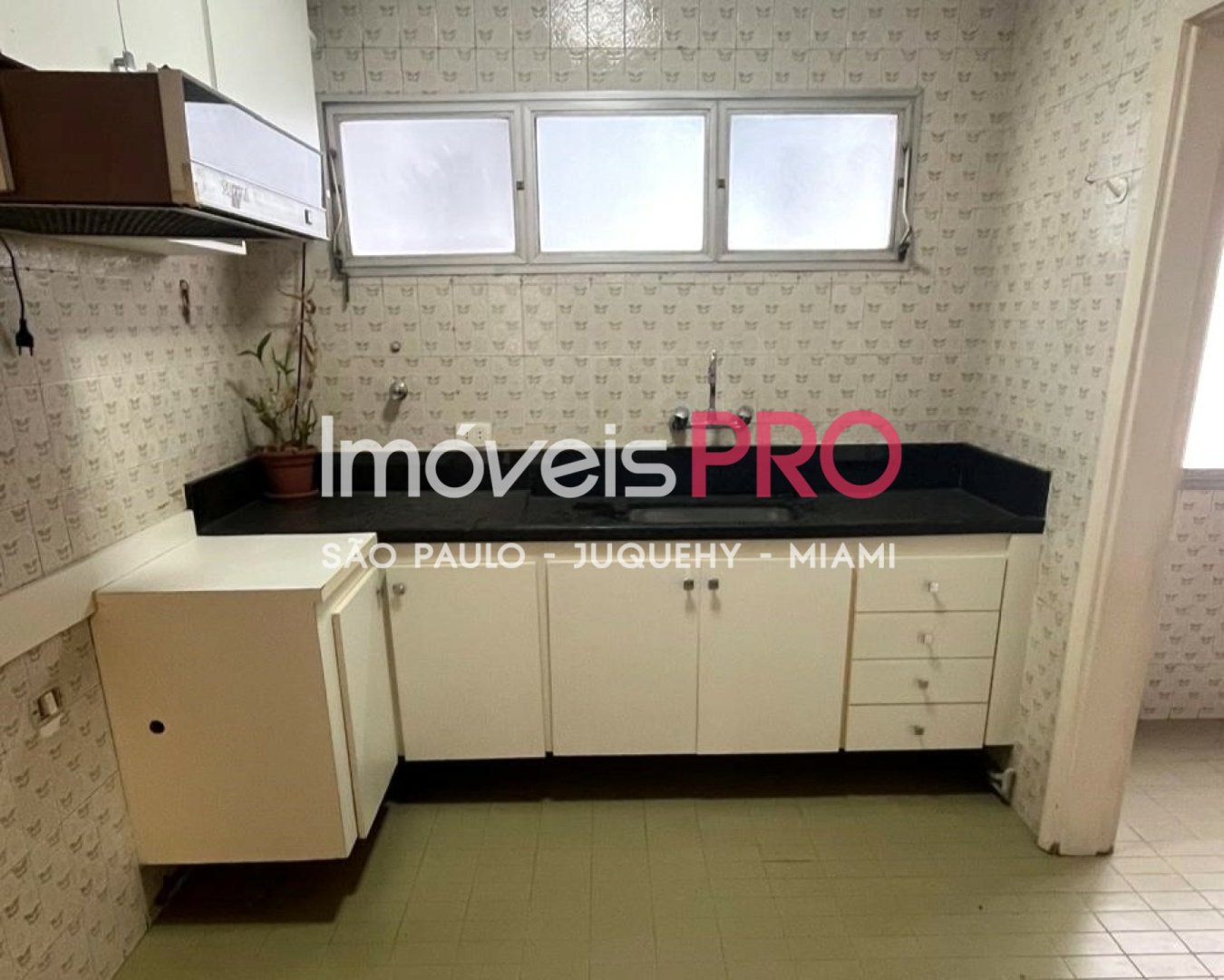 Foto :: IP39422