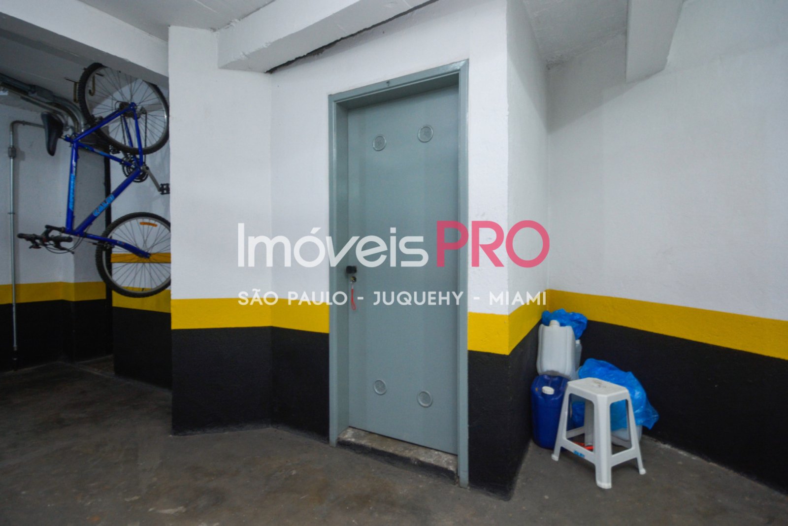 Foto :: IP39423