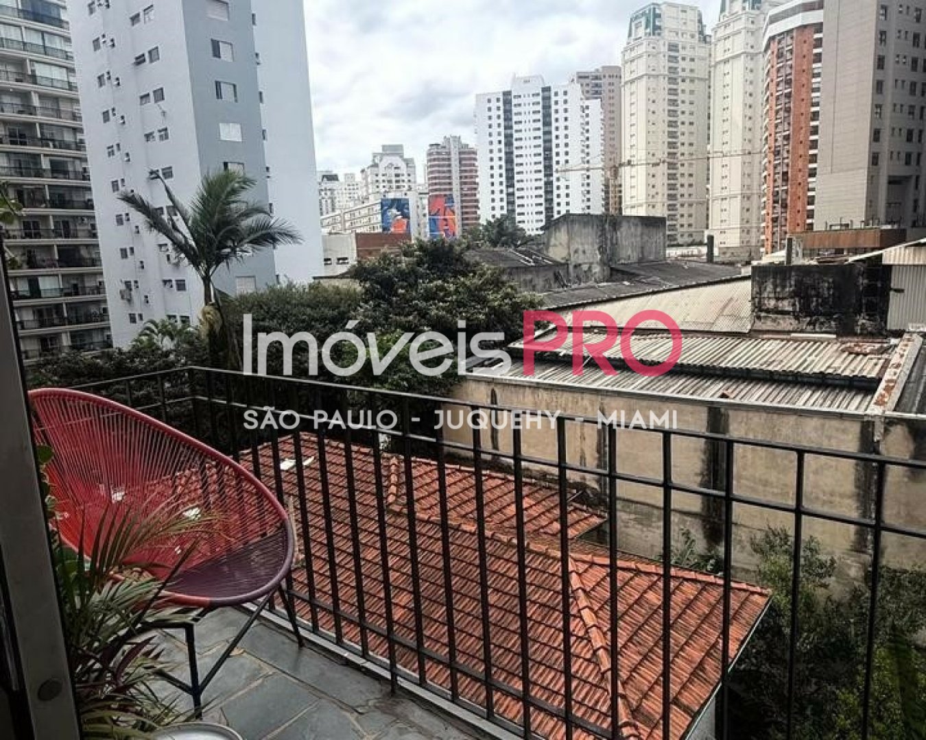 Foto :: IP39426