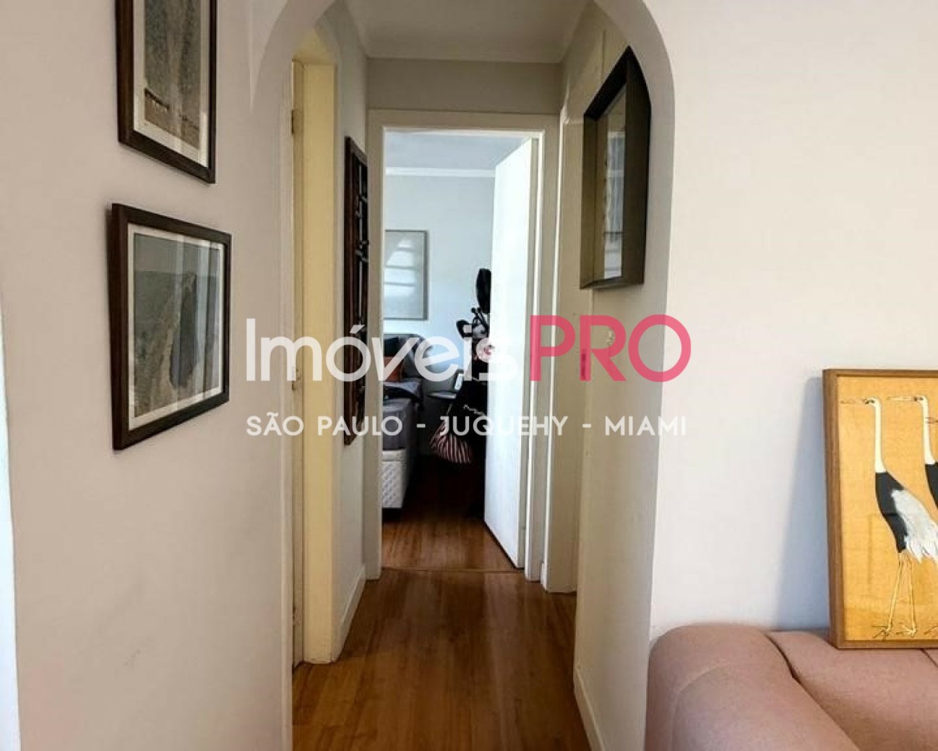 Foto :: IP39426
