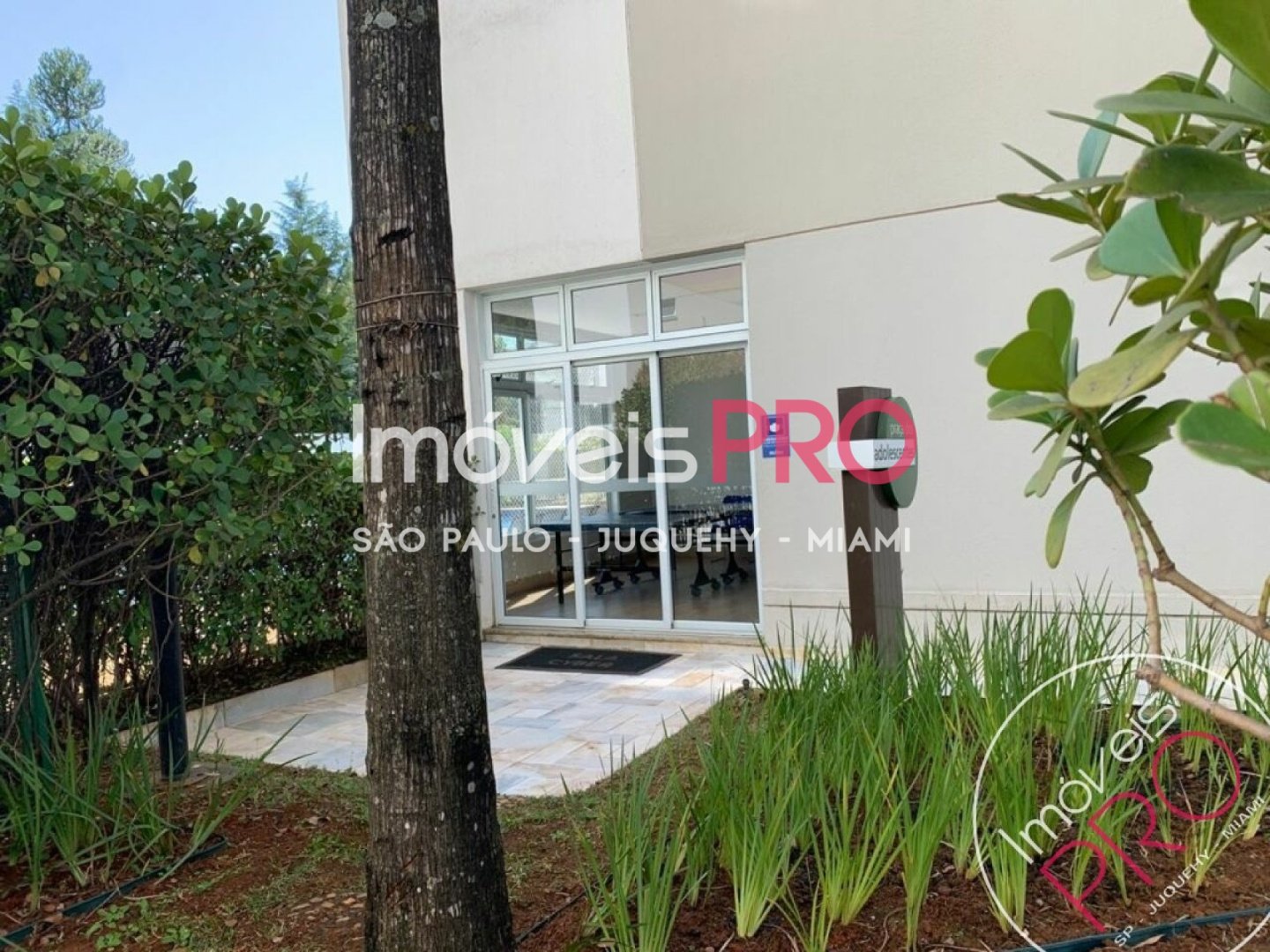 Foto :: IP39427