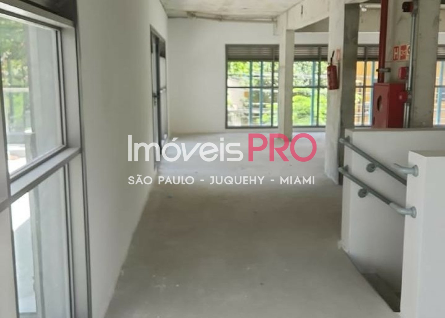 Foto :: IP39435