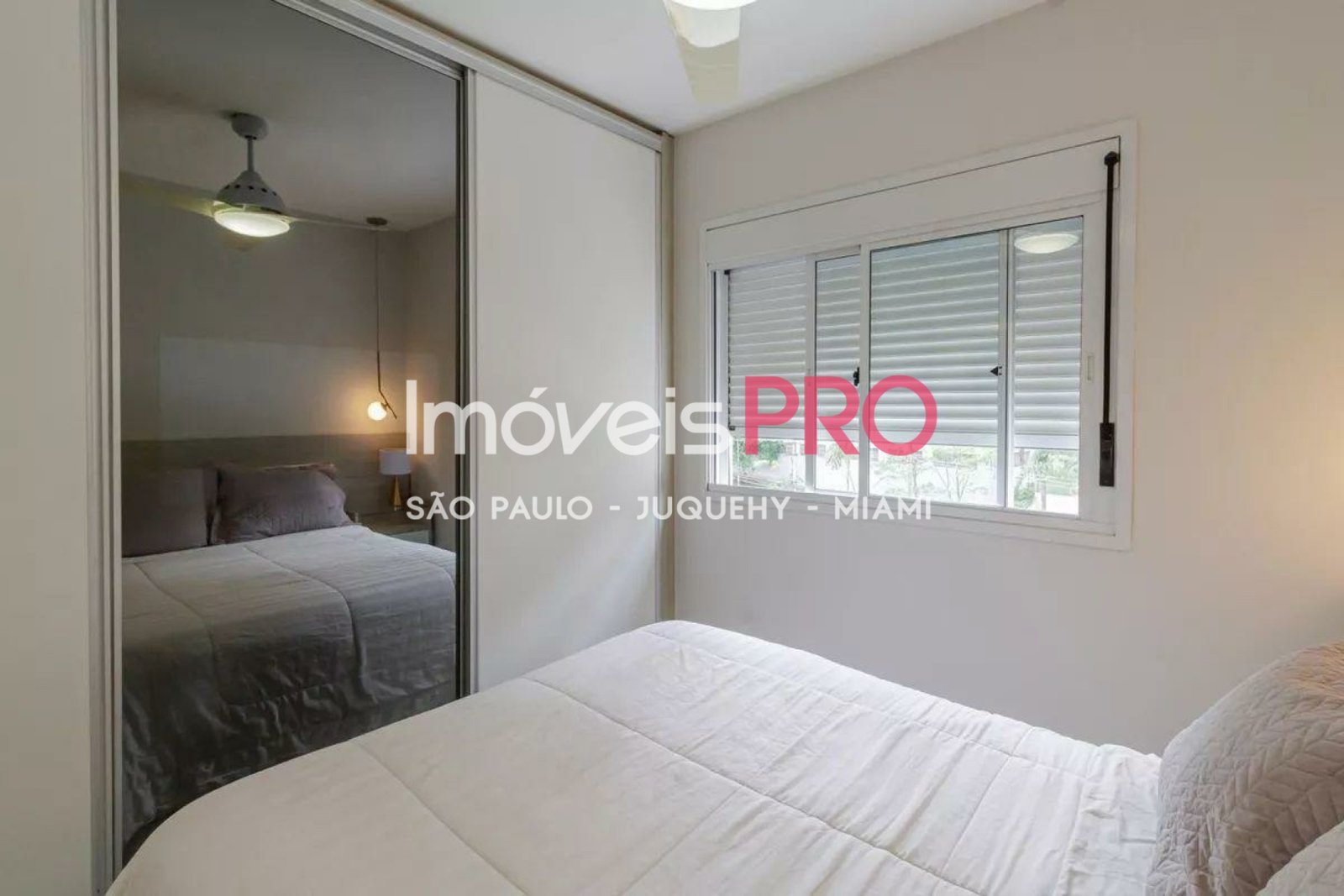 Foto :: IP39442