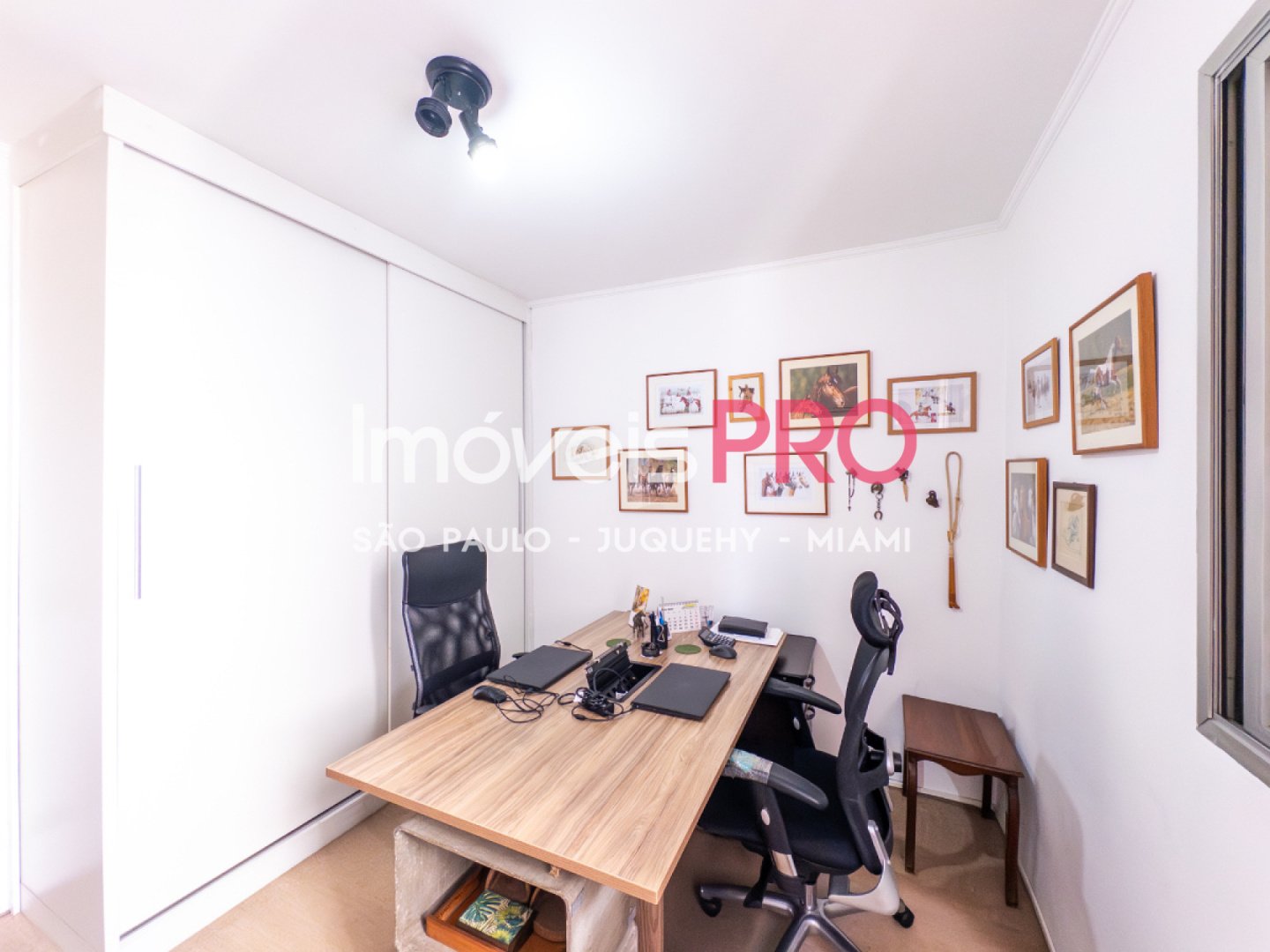 Foto :: IP39443