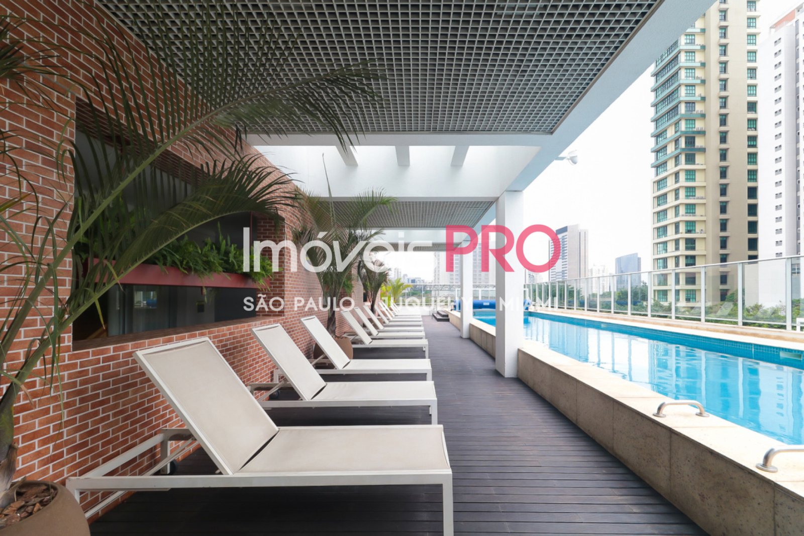 Foto :: IP39447