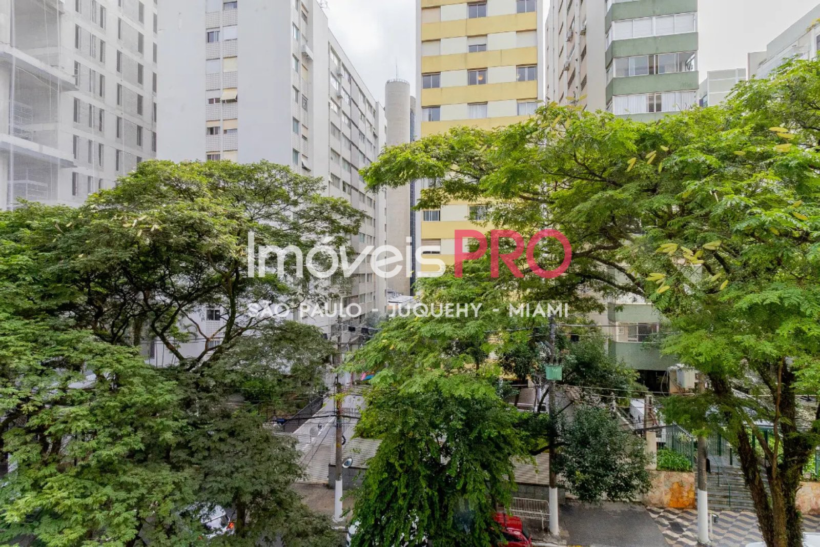 Foto :: IP39450