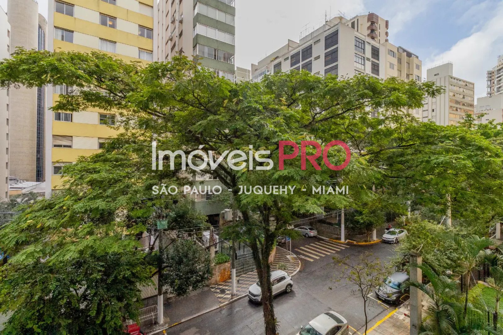 Foto :: IP39450
