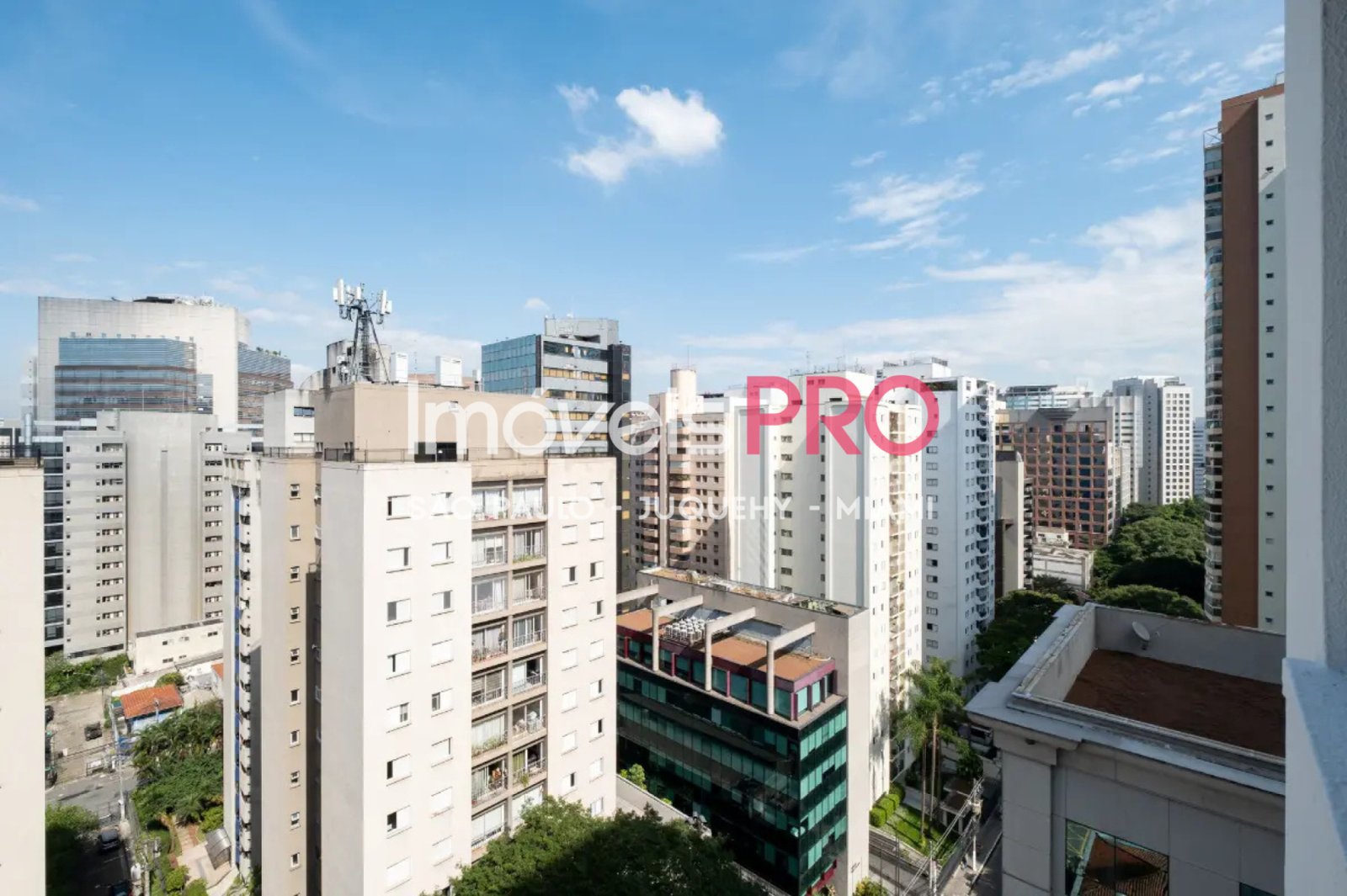 Foto :: IP39451