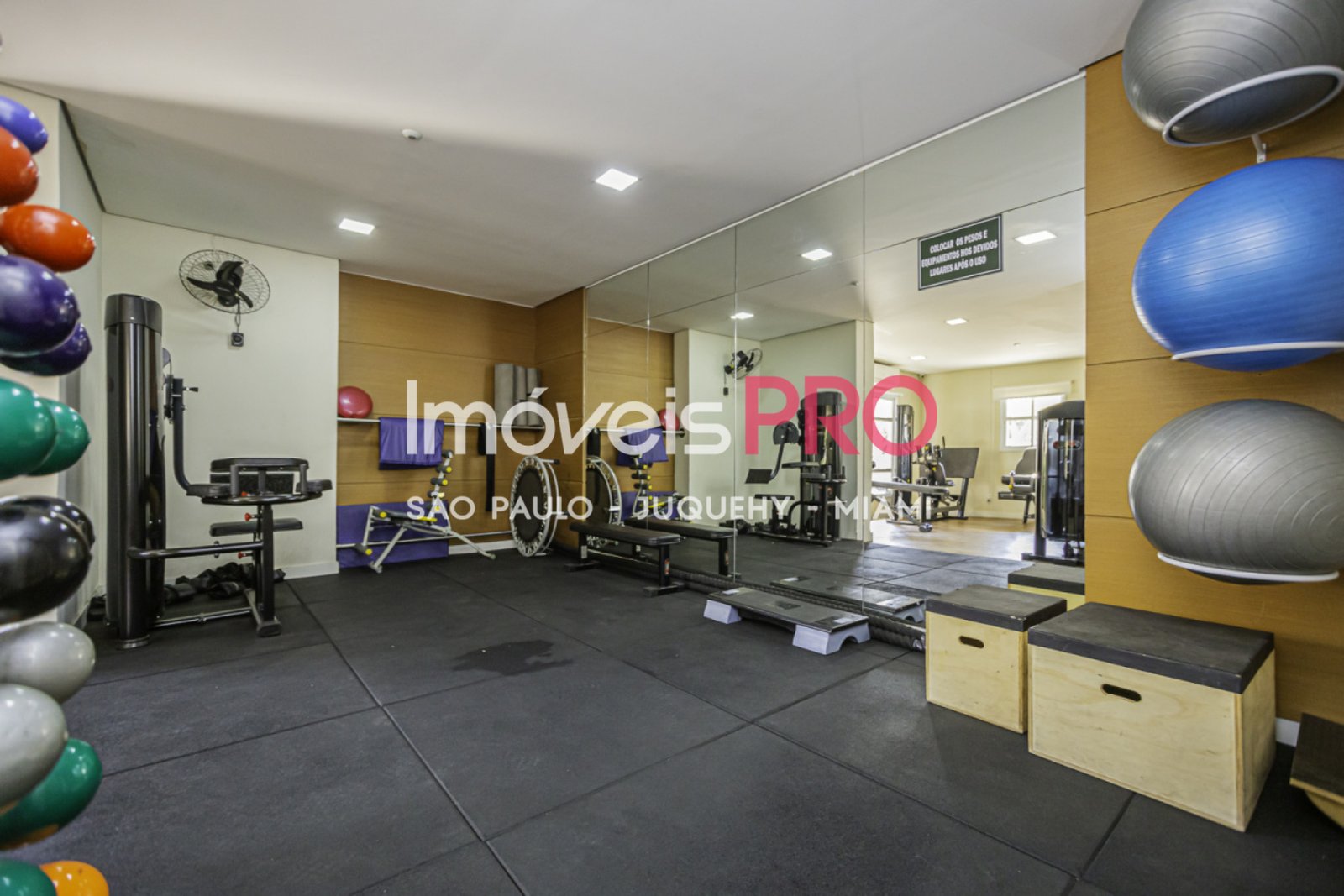 Foto :: IP39460