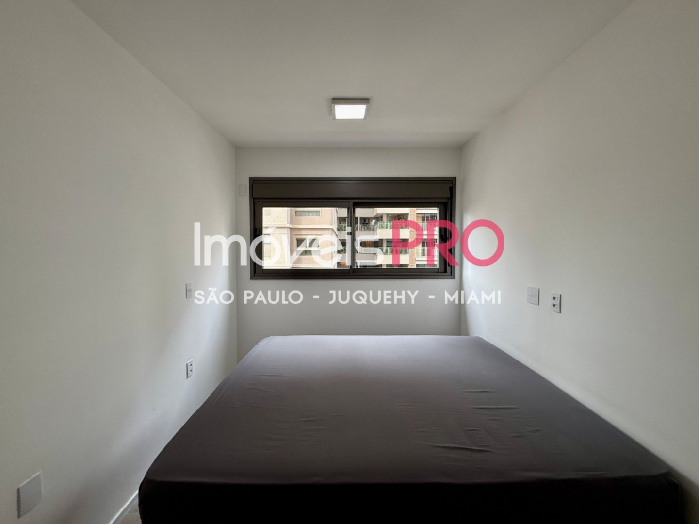 Foto :: IP39466