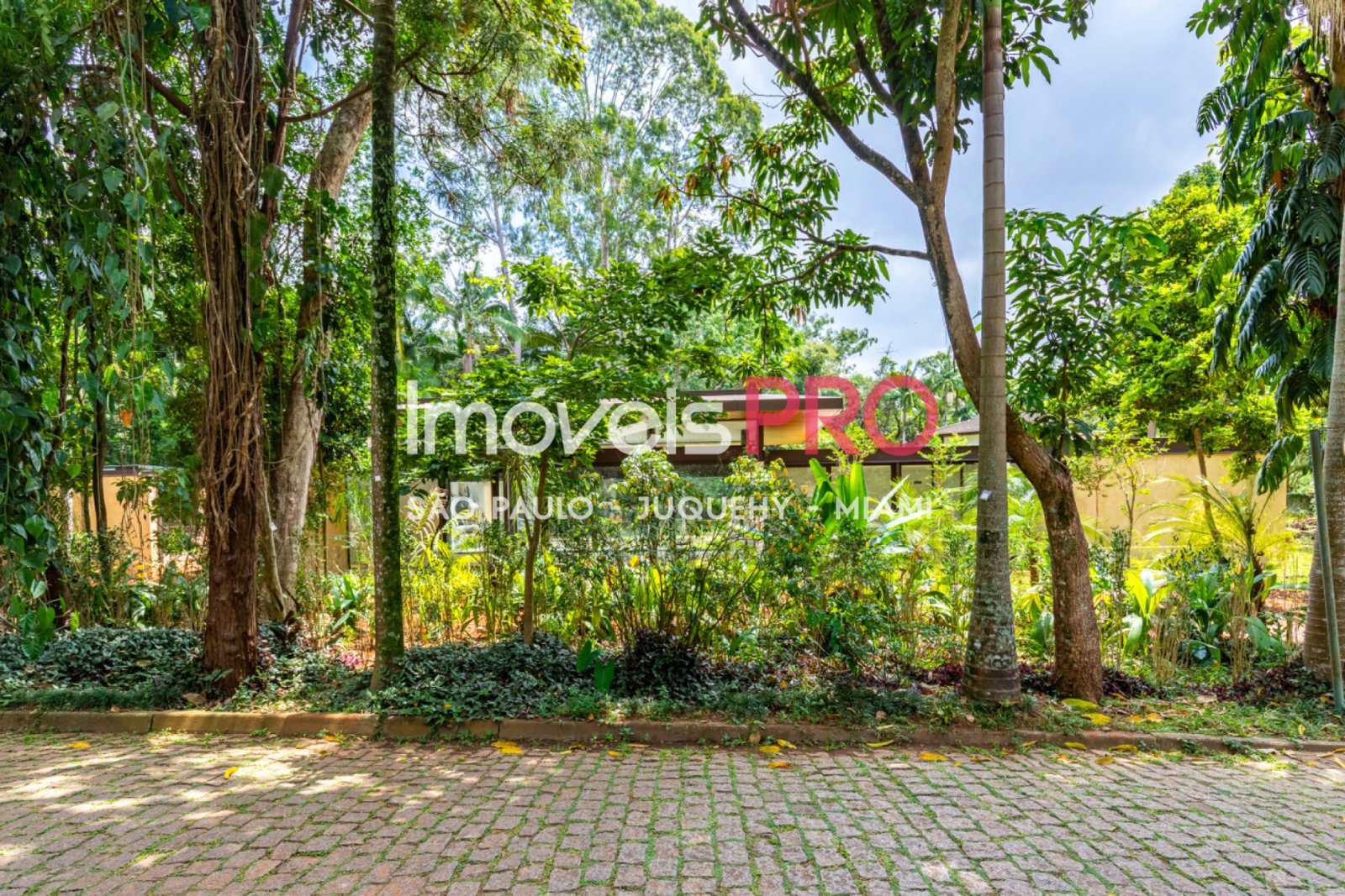 Foto :: IP39476