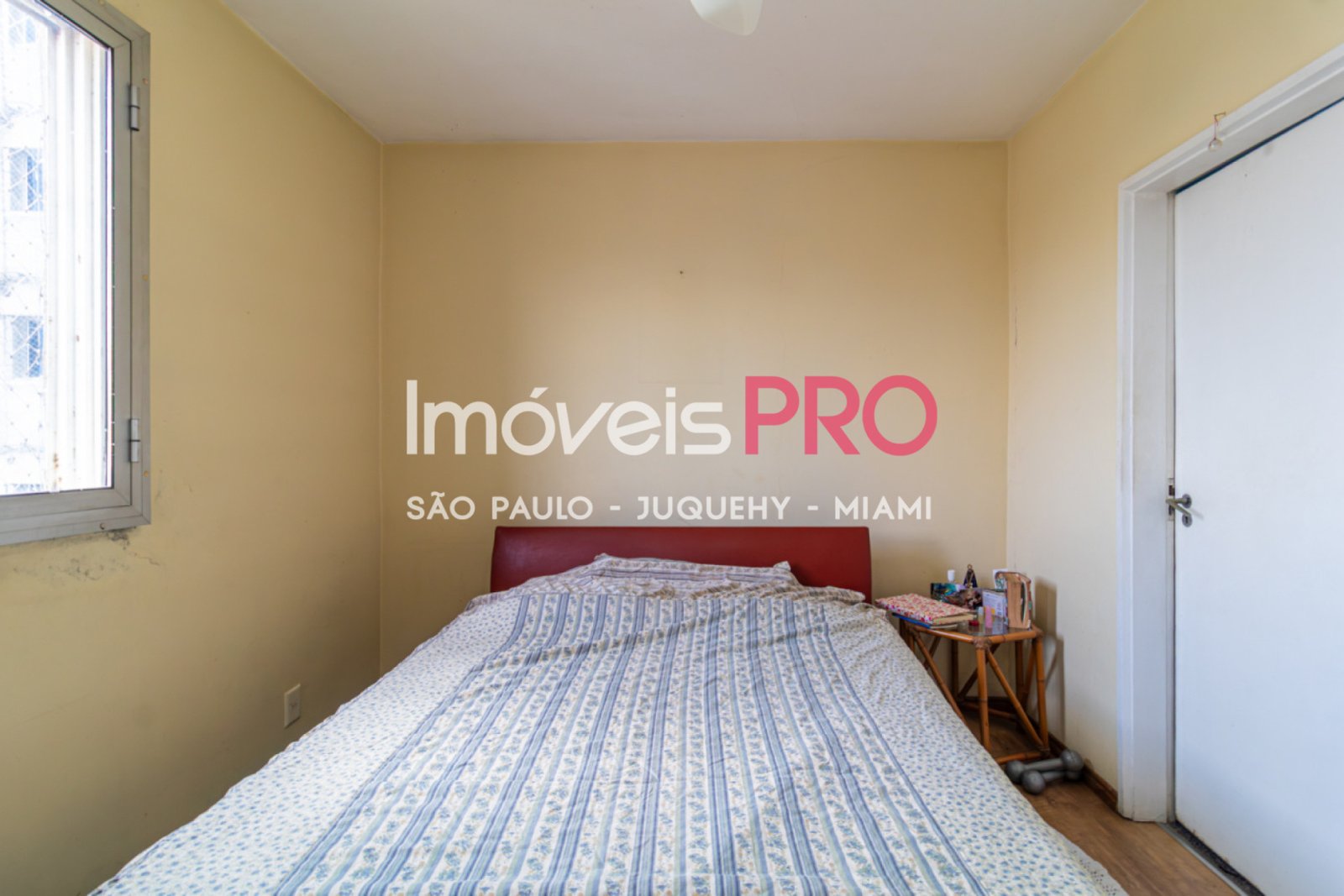 Foto :: IP39477