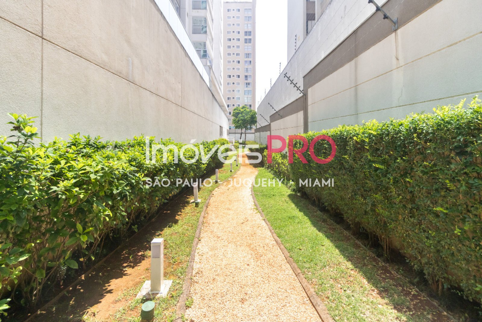 Foto :: IP39479