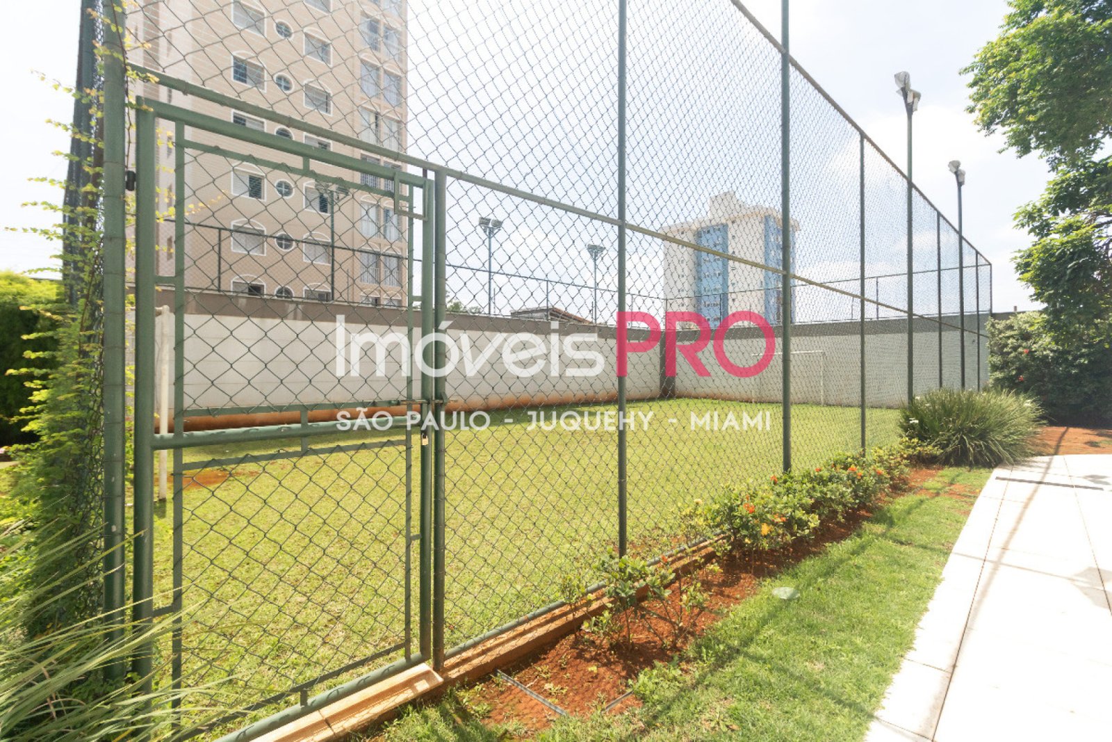 Foto :: IP39479