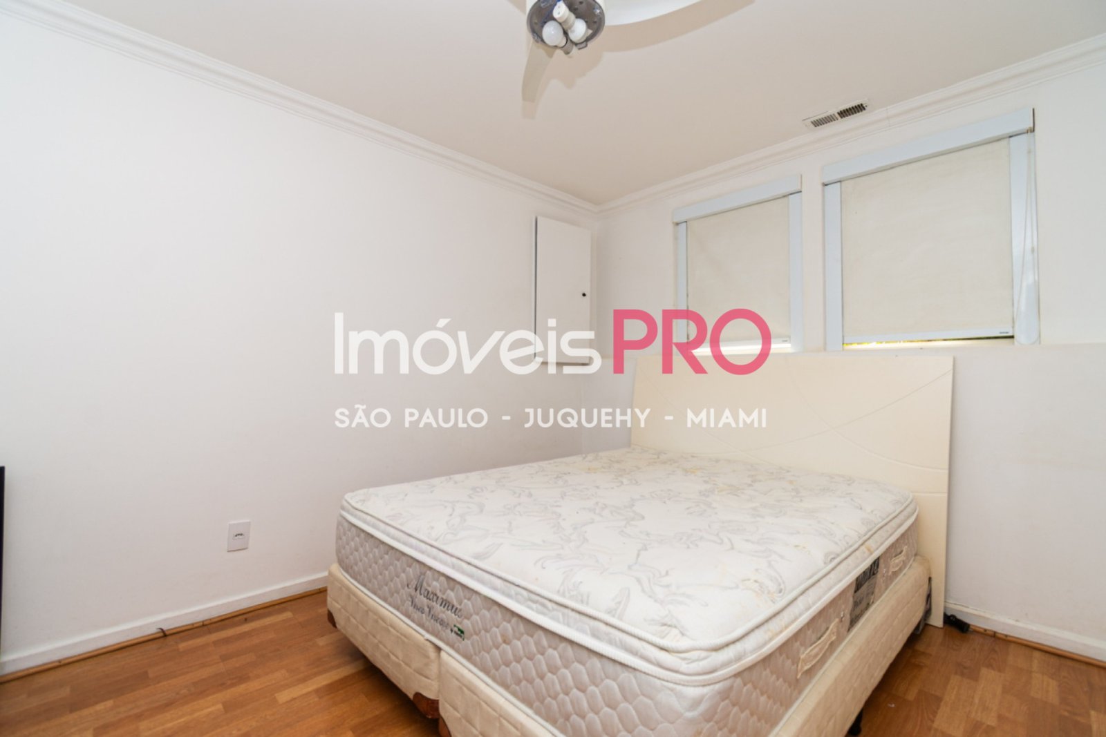 Foto :: IP39483
