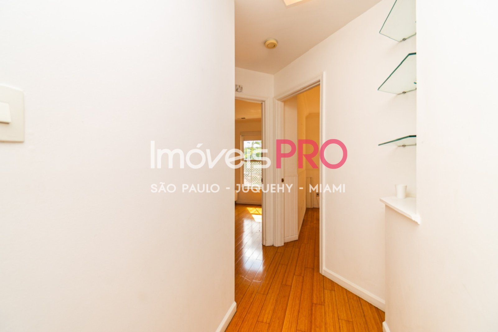 Foto :: IP39483