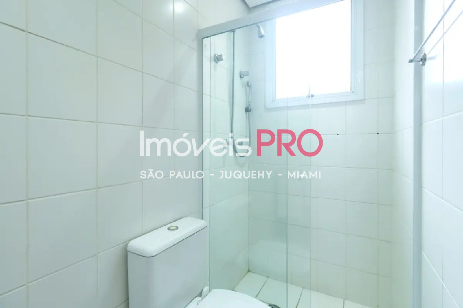 Foto :: IP39485
