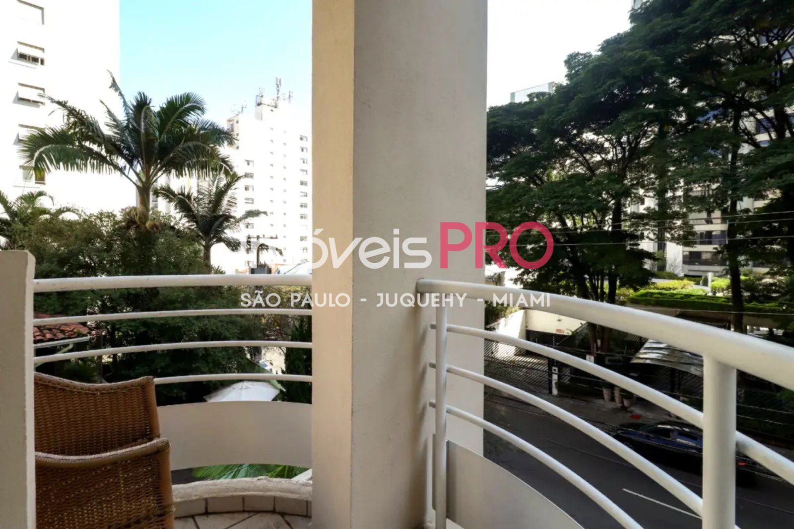 Foto :: IP39485