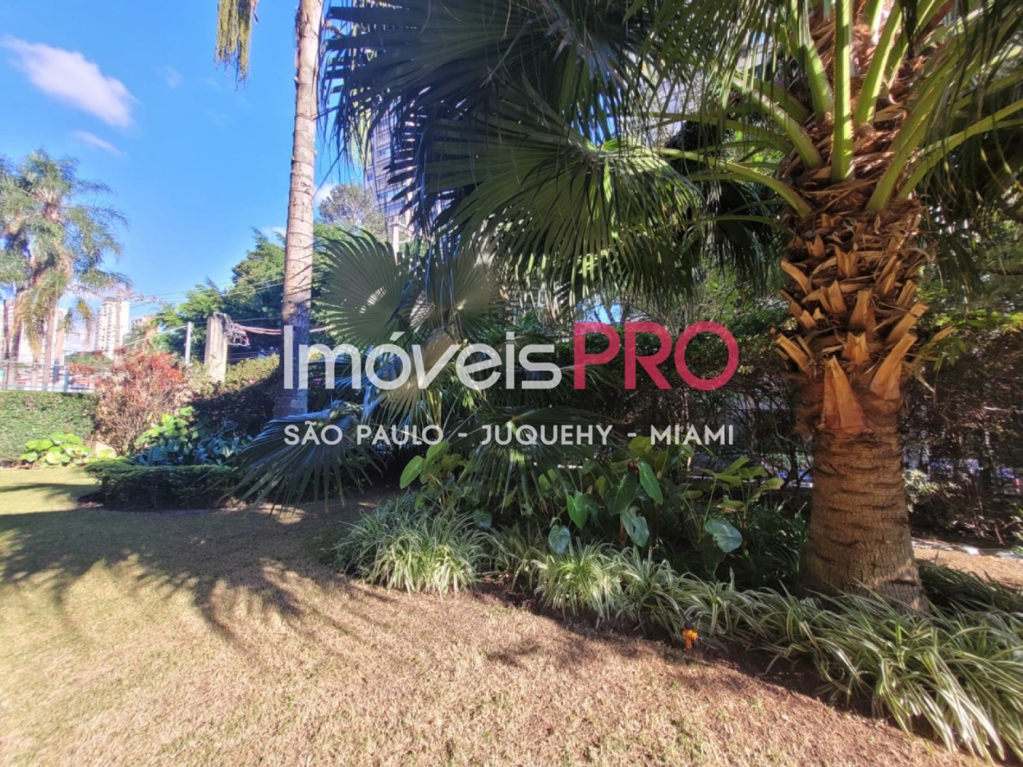 Foto :: https://assets.imoveispro.com.br/thumb/IP39490/apartamento-venda-chacara-santo-antonio-zona-sul_IP39490_35_1920x1080.jpg?