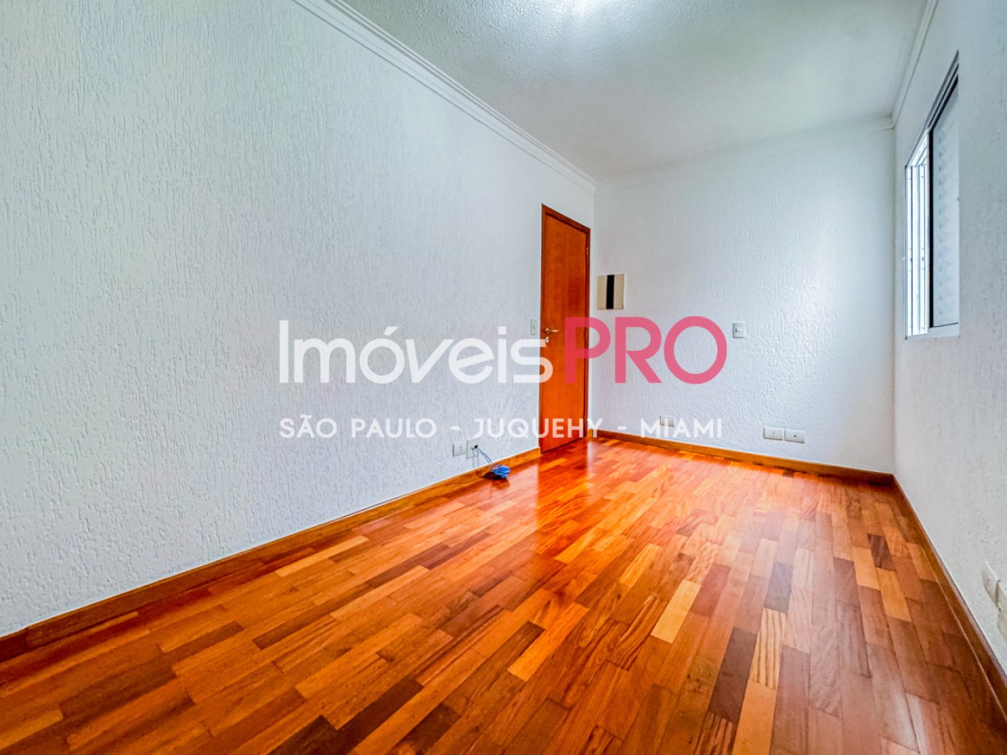 Foto :: IP39511