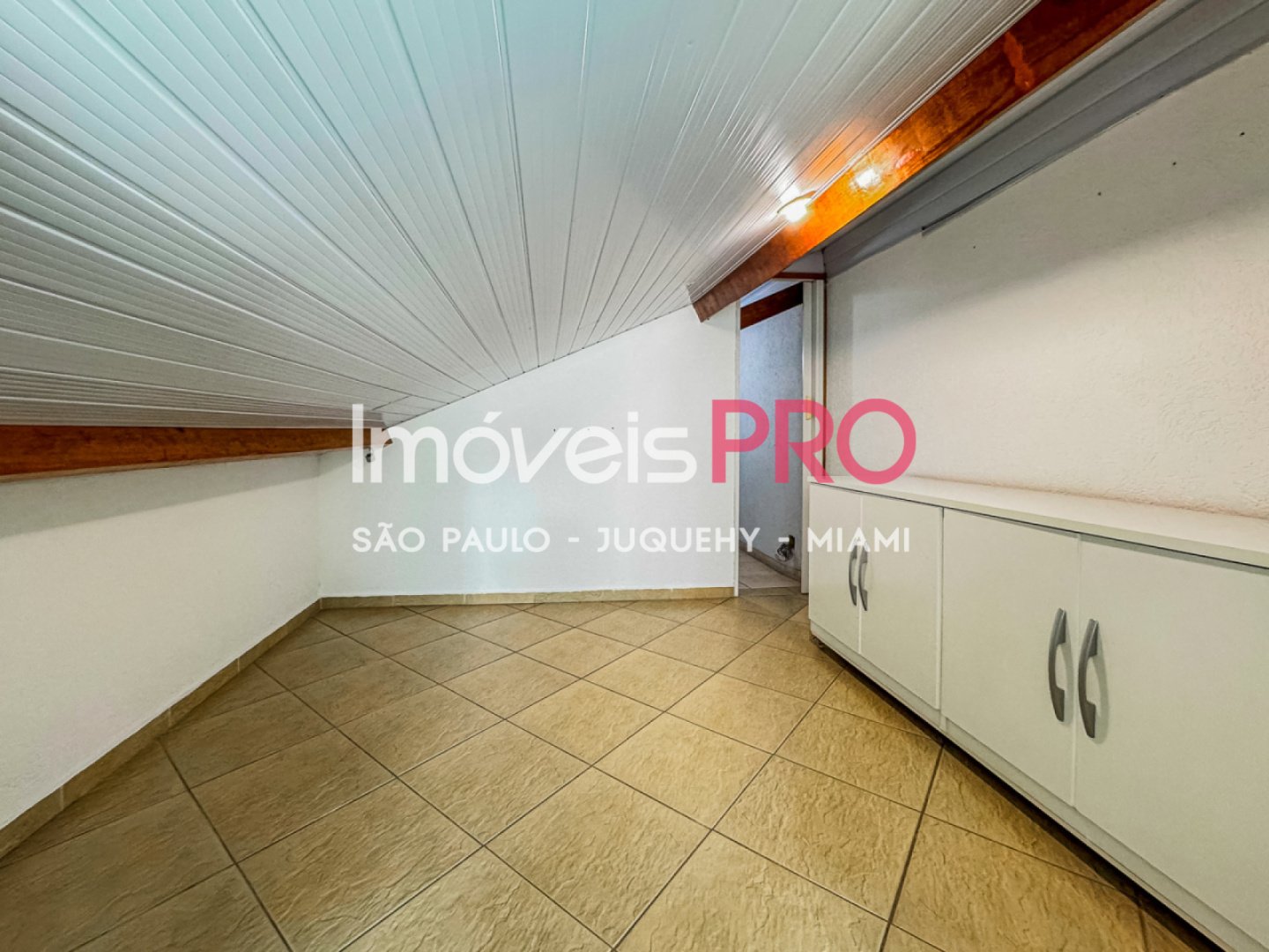 Foto :: IP39511