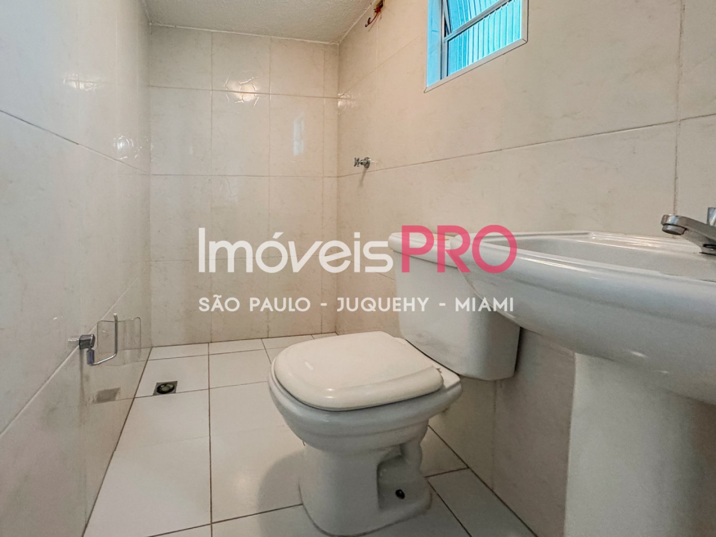 Foto :: IP39511